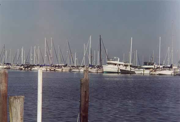 The marina
